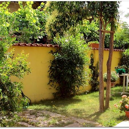 B&B Degli Amici Ciampino Exterior foto